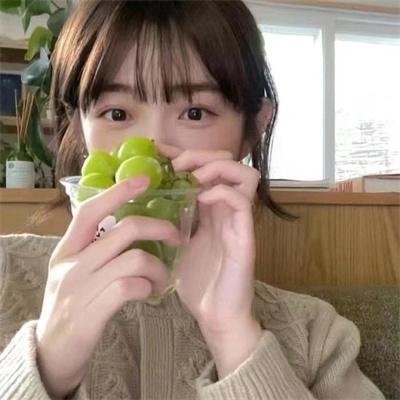 成凰录